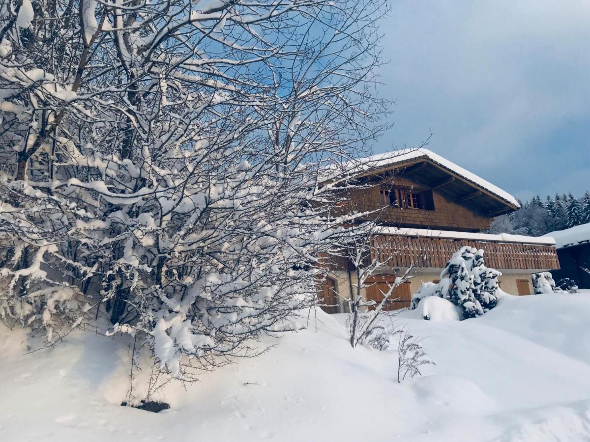 Chalet Les Marmottes Saint-Jean-de-Sixt Luaran gambar